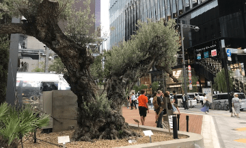 日本緑化企画が手掛けた アヲ GINZA TOKYO（ギンザトーキョー）の画像